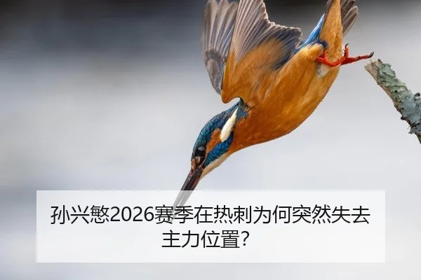 孙兴慜2026赛季在热刺为何突然失去主力位置？