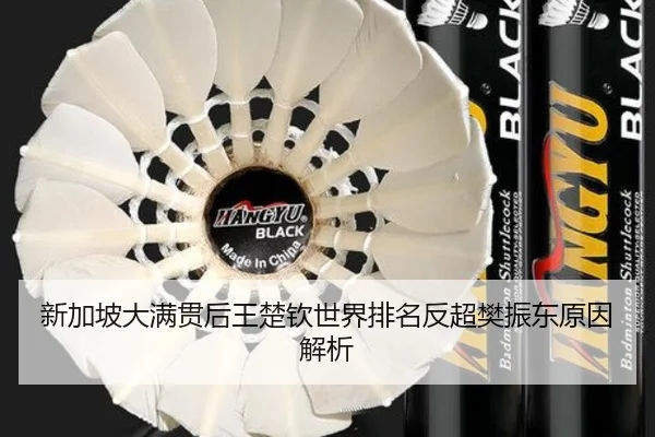 新加坡大满贯后王楚钦世界排名反超樊振东原因解析
